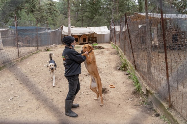 ΑΔΕΣΠΟΤΟΥΛΙΑ KAIZEN GAMING