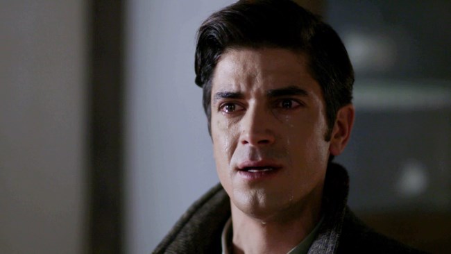 Άγριες Μέλισσες