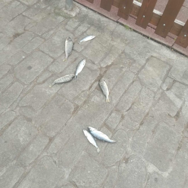 θεσσαλονικη