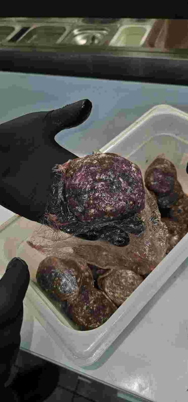 Κατασχέθηκαν 12 τόνοι ακατάλληλων προϊόντων στην Αττική - Αλλοιωμένα κρέατα και παρασκευάσματα [εικόνες]