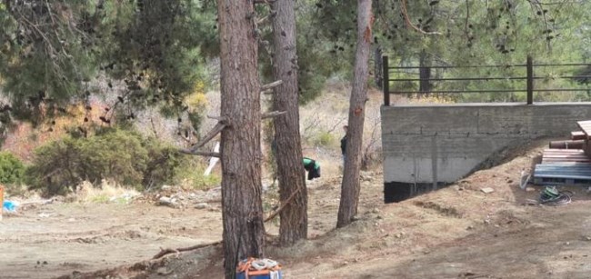 Κύπρος εξαφάνιση