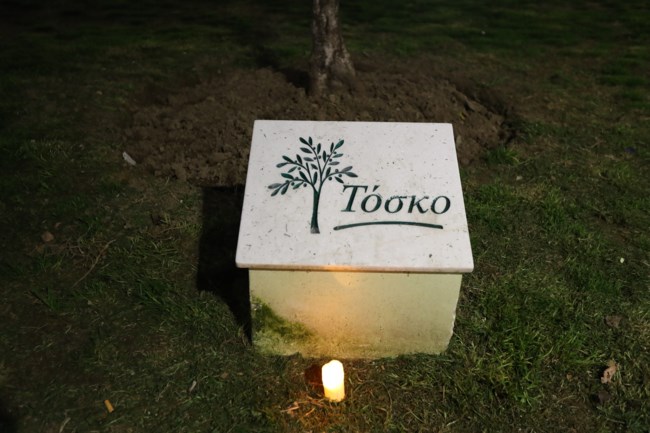 Τόσκο, πορεία Άλκη Καμπανού