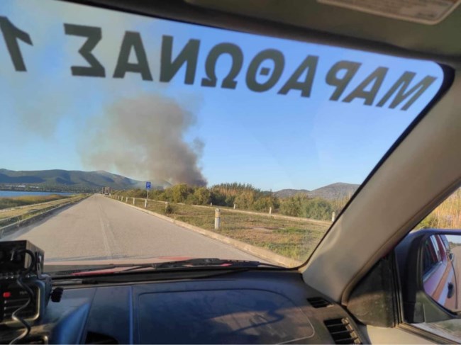 σχινιασ