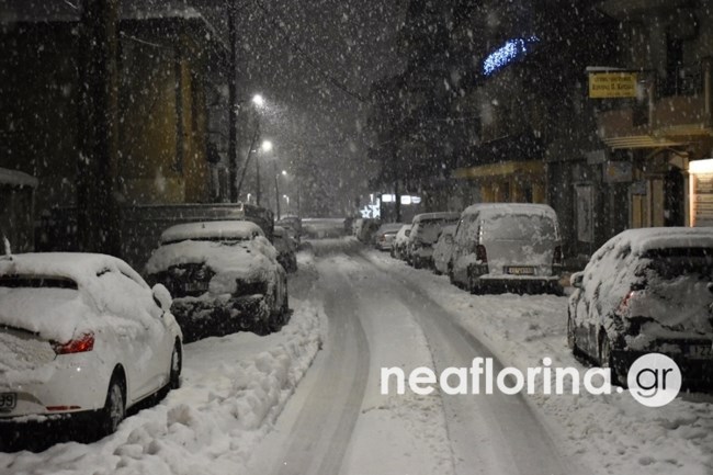 ΦΛΩΡΙΝΑ ΧΙΟΝΙΑ