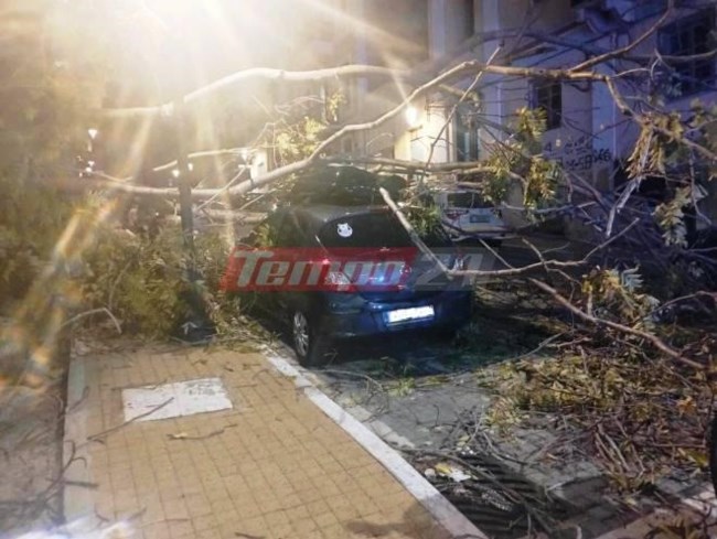 Πάτρα: Περίμενε το παιδί της από το φροντιστήριο και έπεσε πάνω της δέντρο - Τραυματίστηκε στο κεφάλι