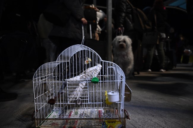 ΣΑΝΤΟΡΙΝΗ ΚΑΤΟΙΚΙΔΙΑ