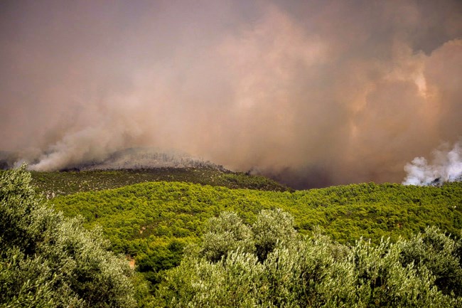 Φωτιά στην Εύβοια