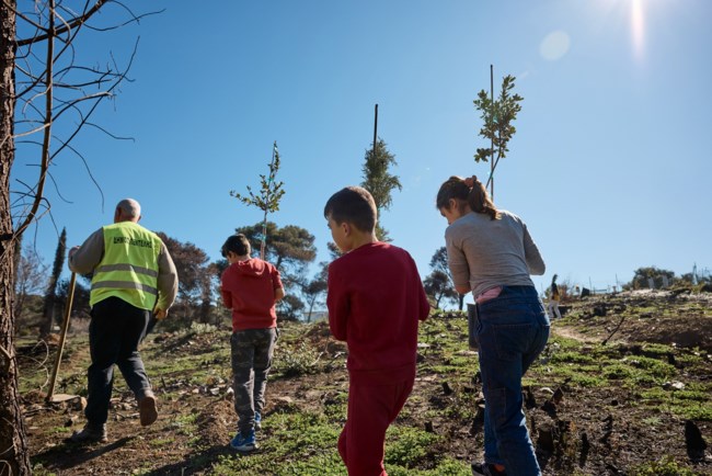 LAMDA DEVELOPMENT ΑΝΑΔΑΣΩΣΗ ΠΕΝΤΕΛΗ