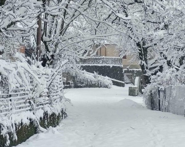 ΧΙΟΝΙΑ ΦΘΙΩΤΙΔΑ