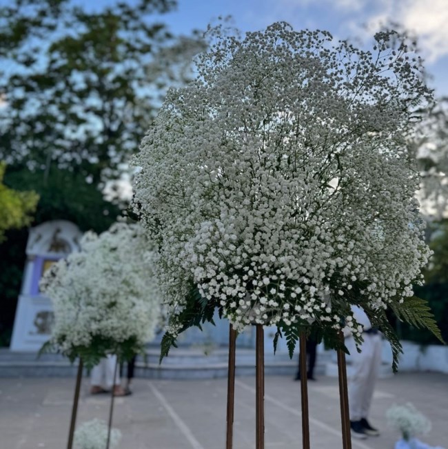 καραφωτης γαμος