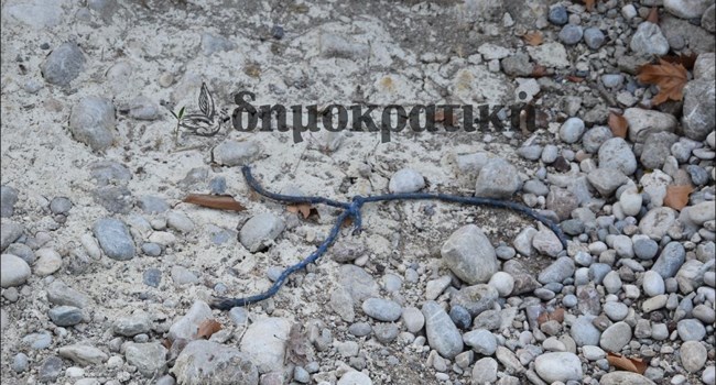 Εργολάβος Ρόδος