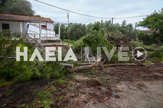 Ανεμοστρόβιλος σάρωσε την Ηλεία: Ξερίζωσε δέντρα, διέλυσε στέγες [εικόνες - βίντεο]