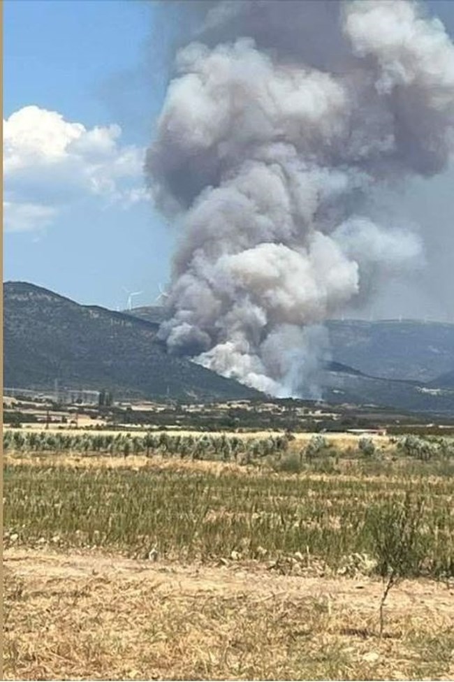Ροδόπη: Μαίνεται η μεγάλη φωτιά στη Νέα Σάντα  - Στη μάχη 13 εναέρια μέσα - Επιπλέον 40 δασοκομάντος από Ελευσίνα