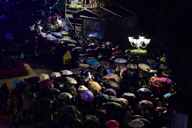 ΦΩΤΑΓΩΓΗΣΗ ΧΡΙΣΤΟΥΓΕΝΝΙΑΤΙΚΟ ΔΕΝΤΡΟ ΣΥΝΤΑΓΜΑ