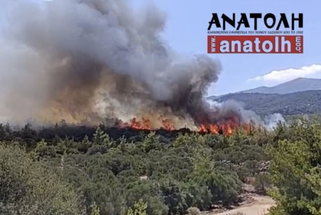 Λασίθι: Σε μερικό έλεγχο η φωτιά στο Βαθύ - Διάσπαρτες εστίες, πνέουν ισχυροί άνεμοι - Μήνυμα 112, σηκώθηκαν τρία ελικόπτερα