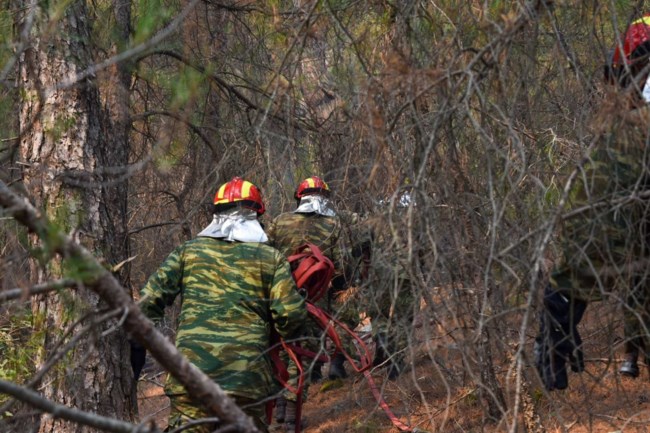 Φωτιά στον Εβρο: Πέμπτη μέρα σκληρής μάχης με τις φλόγες στο δάσος της Δαδιάς - Εκκενώθηκε το χωριό Λευκίμη