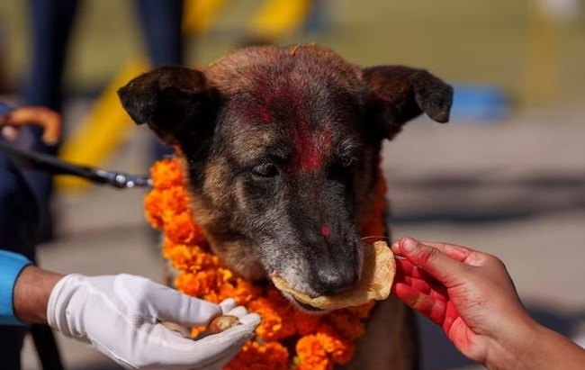 nepal