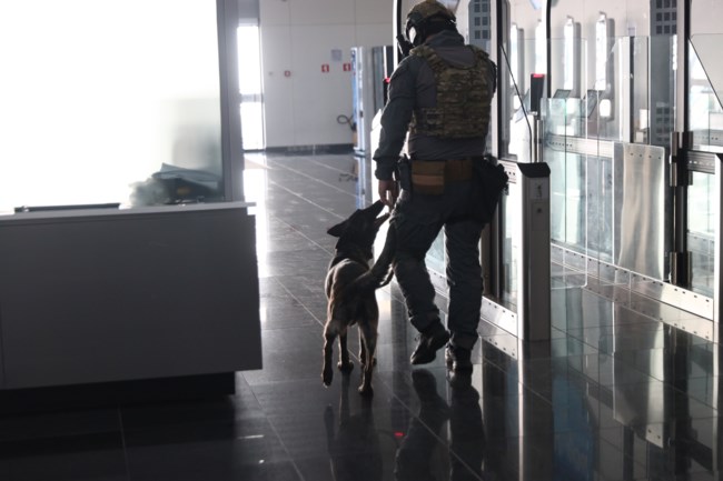 Κρήτη: Πώς συνελήφθη ο 37χρονος που κατηγορείται ως μέλος της Χαμάς - Ετοίμαζε χτύπημα στο κρουαζιερόπλοιο "Crown Iris"