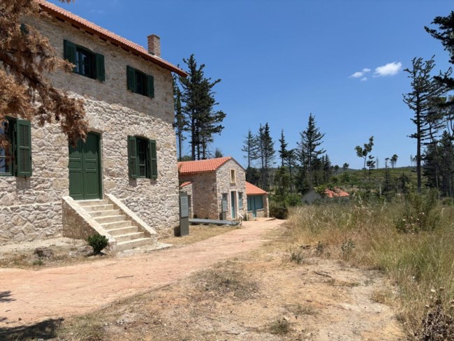 τατοι