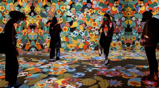 Ο κόσμος της Φρίντα Κάλο ζωντανεύει στην Αθήνα