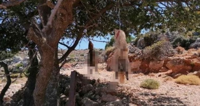 κρητη