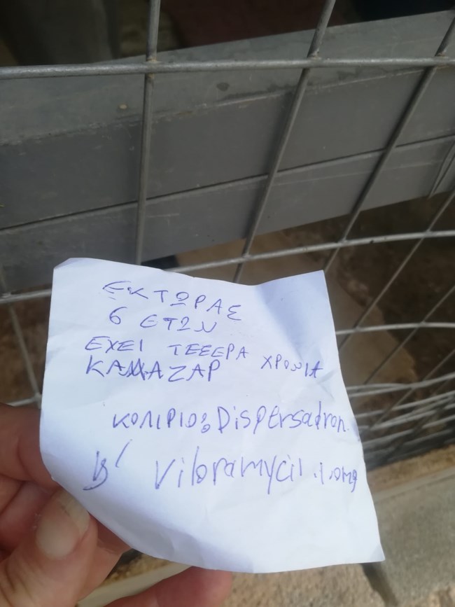εκτορας