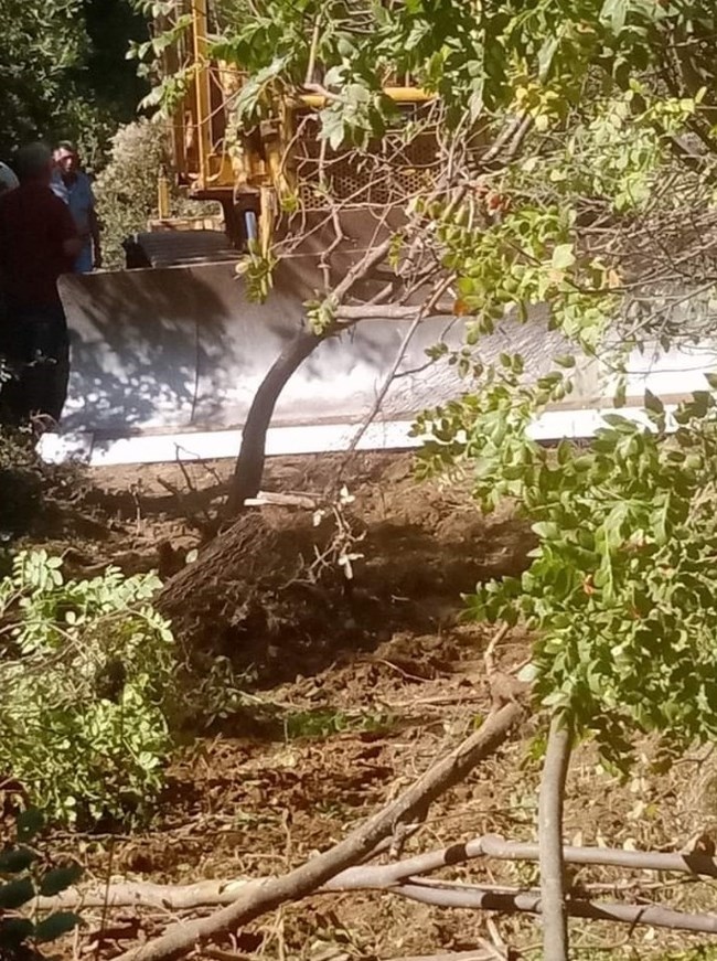 Παύλιανη: Χτίζουν υδροηλεκτρικό μέσα σε έναν φυσικό παράδεισο - Προσφυγή των κατοίκων κατά του έργου