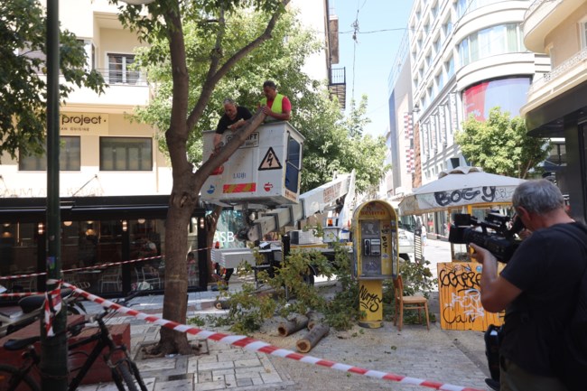 Eπεσε δέντρο στην Ερμού από τους ισχυρούς ανέμους - Δίπλα σε πλανόδιο πωλητή