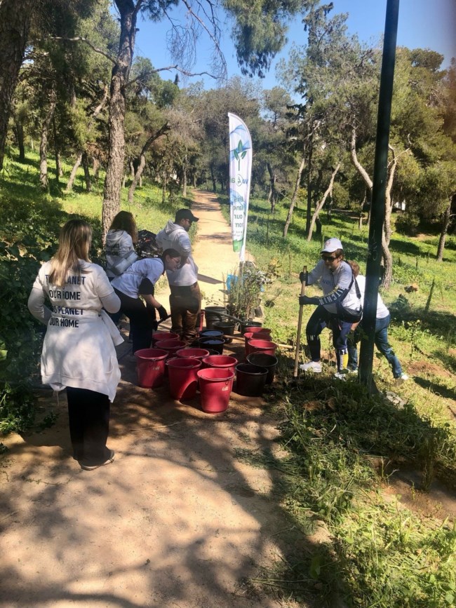 Δεντροφύτευση