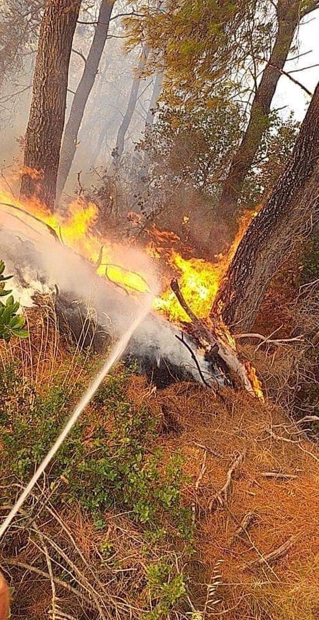 Φωτιά στην Αρκαδία: Ολονύχτια μάχη για να σωθεί η Γορτυνία – Καλύτερη εικόνα στη Μεγαλόπολη [εικόνες-βίντεο]