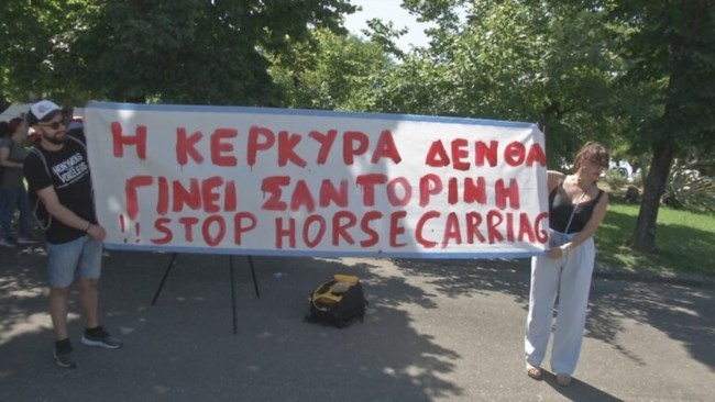 αλογο