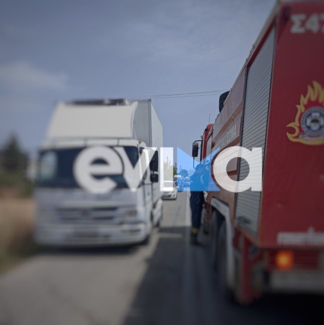 Εύβοια: Φωτιά κοντά σε σπίτια και επιχειρήσεις στην κοινότητα Λεπούρων Αλιβερίου [εικόνες]