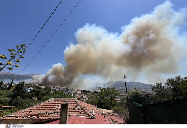 Πάτρα: Μεγάλη φωτιά κοντά σε σπίτια στην περιοχή Γηροκομείο – Εκκενώθηκαν Καραμανδάνειο, Κωνσταντοπούλειο, Ίδρυμα Μέριμνα