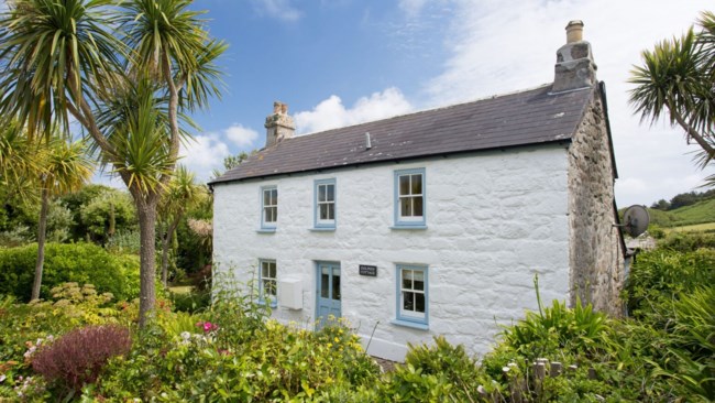 dolphin house