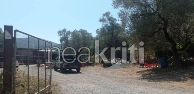 Κρήτη Πυροβολισμοί
