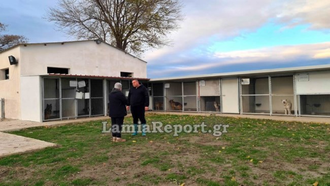 Λαμία: Κινδύνεψε να πνιγεί στις πλημμύρες για να σώσει 35 σκυλάκια [εικόνες - βίντεο]