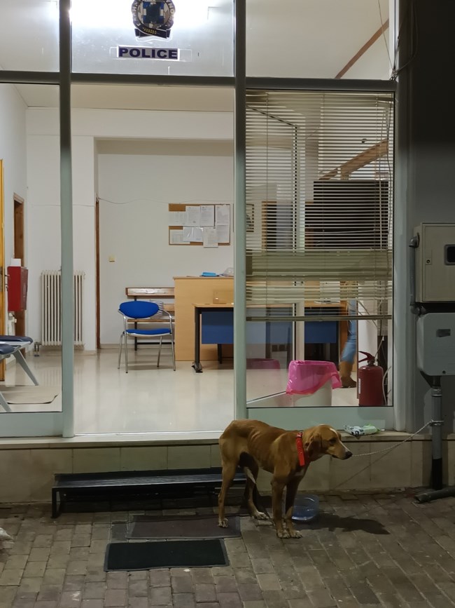 μεγαλοπολη