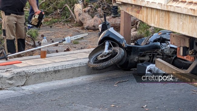 Παρέμβαση εισαγγελέα για τον θάνατο του 51χρονου από πτώση δέντρου στο Ηράκλειο - "Θα κινηθούμε νομικά", λέει ο γιος του