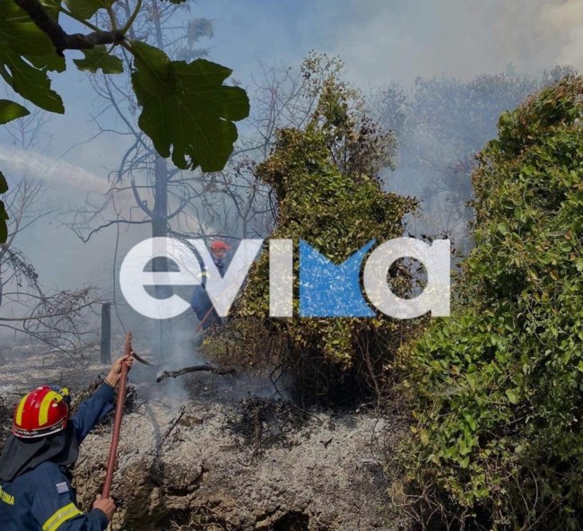 Τέθηκε υπό μερικό έλεγχο η φωτιά στην Κύμη
