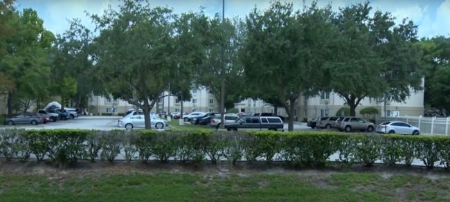 Σοκ στις ΗΠΑ: Συνελήφθη 16χρονη για τον θάνατο της 3χρονης αδελφής της - Έβαλε μαξιλάρι στο κεφάλι της για την ησυχάσει