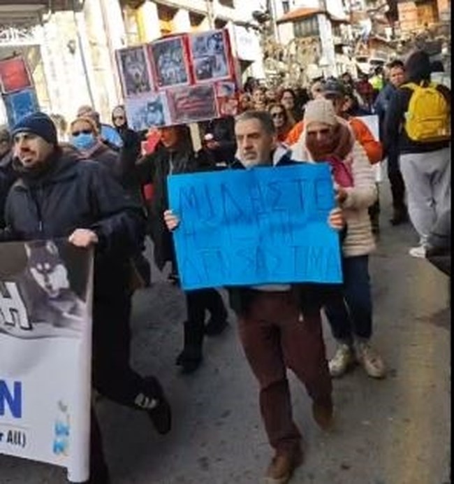 Στην Αράχωβα οι φιλόζωοι: Συγκέντρωση διαμαρτυρίας  για τον Όλιβερ - Στιγμιότυπα - Βίντεο