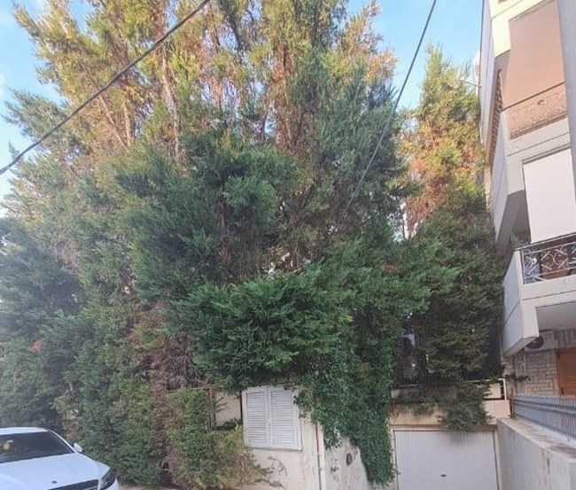 λυτρας σπίτι
