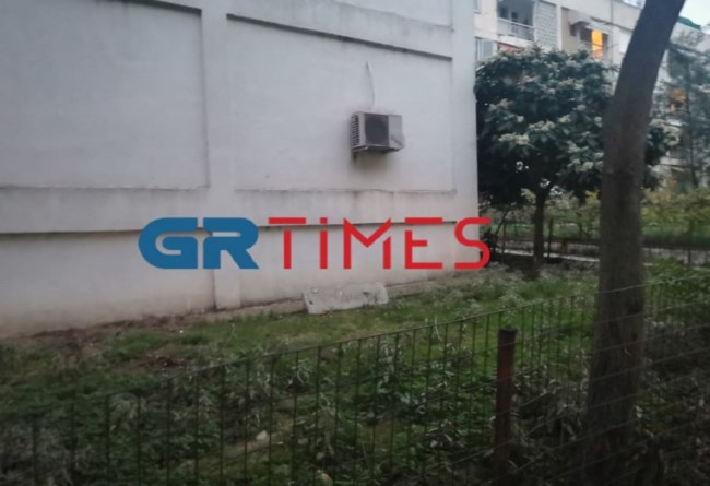 Γάτες