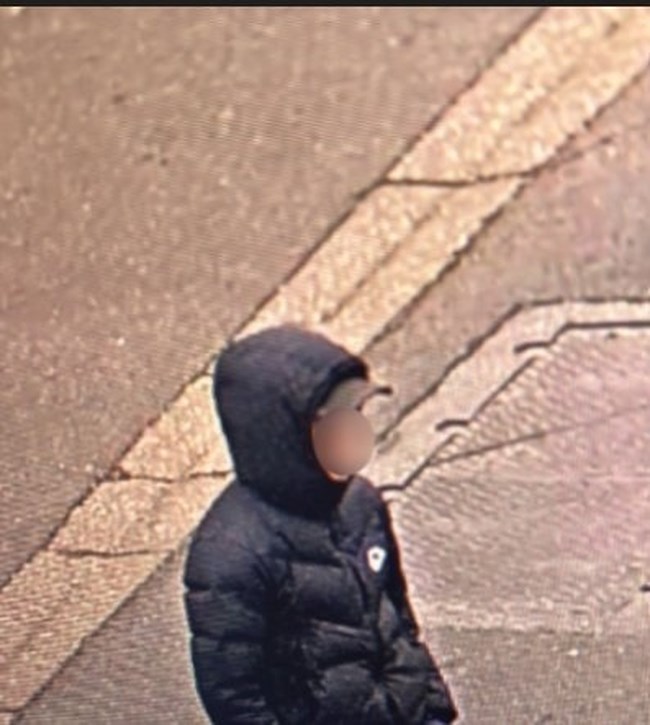 ΓΑΛΛΙΑ ΔΟΛΟΦΟΝΙΑ 11ΧΡΟΝΗΣ ΥΠΟΠΤΟΣ