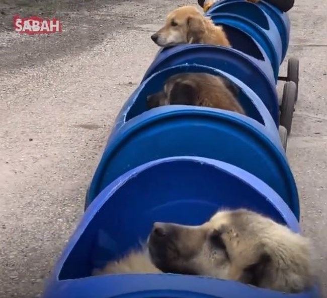 τουρκια