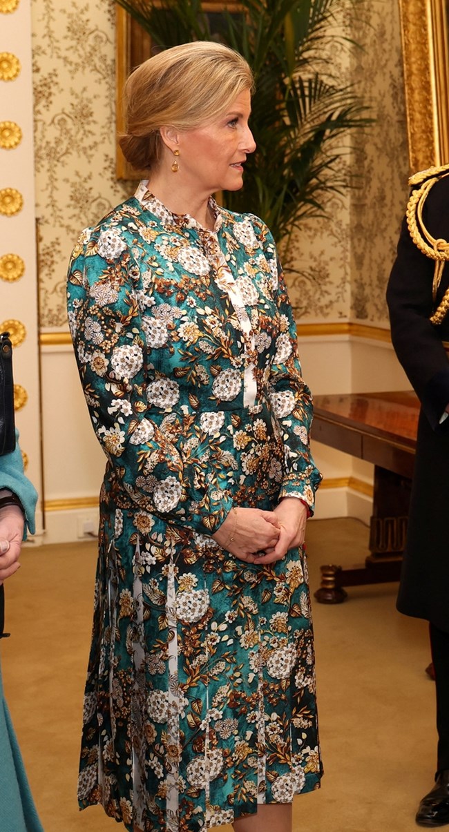 Sophie Duchess