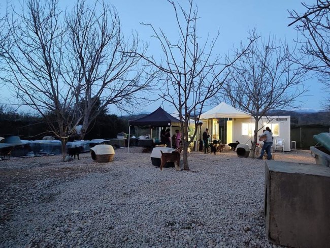 Aπο κολαστήριο μετατρέπεται σε καταφύγιο: Οργανώσεις, εθελοντές, απλοί πολίτες αλλάζουν το κυνοκομείο Σπάρτης