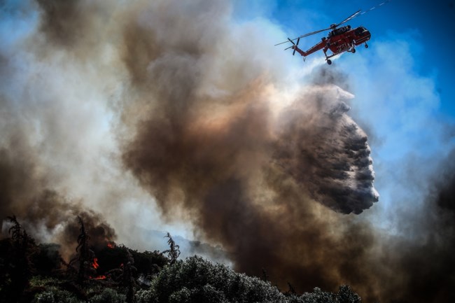 ΦΩΤΙΑ ΡΑΦΗΝΑ