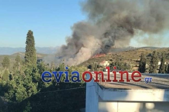 Πύρινος εφιάλτης στην Εύβοια: Μεγάλη πυρκαγιά στα Μεσοχώρια - Μήνυμα απομάκρυνσης από το 112 [βίντεο]