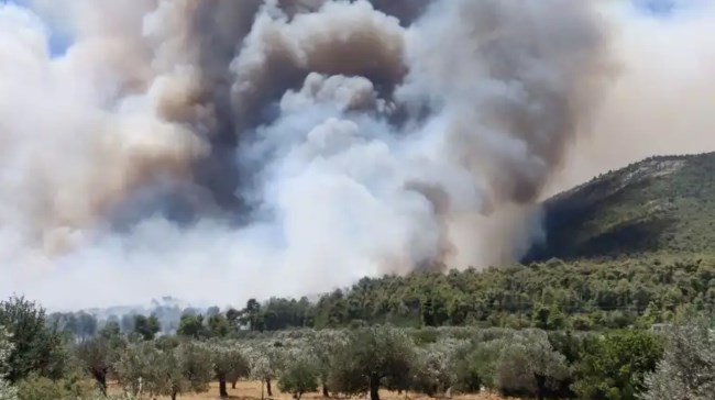Φωτιά στο Σοφικό Κορινθίας